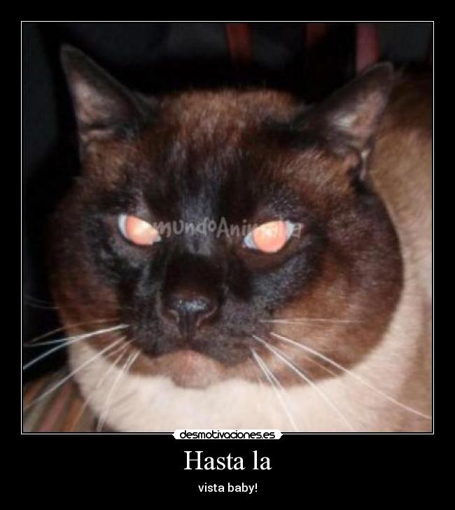 Hasta la - vista baby!