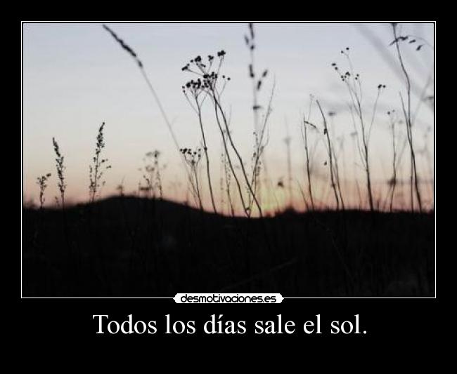 Todos los días sale el sol. -