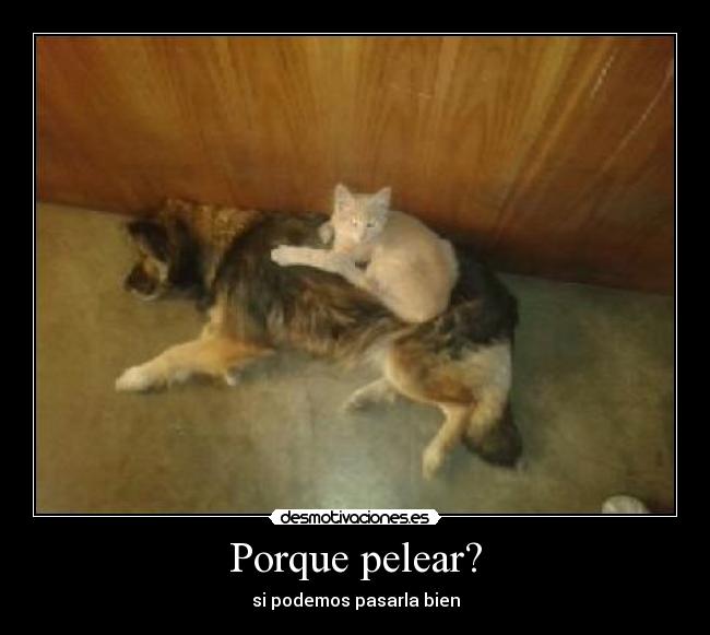 Porque pelear? -