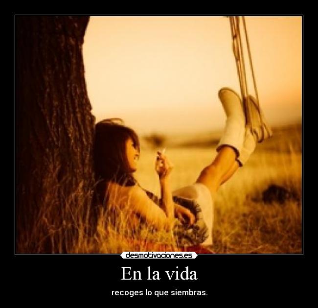 carteles vida vida recoger amabilidad energia desmotivaciones