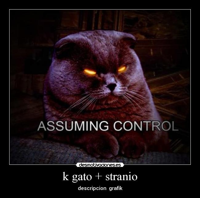 k gato + stranio - descripcion grafik