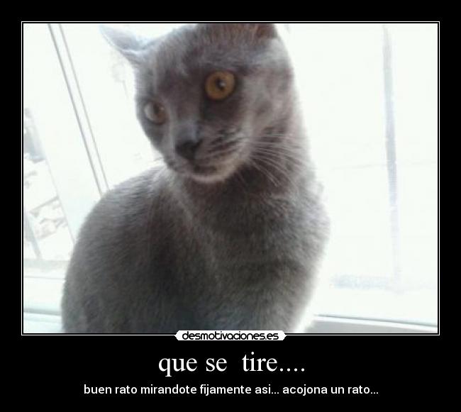 que se  tire.... - buen rato mirandote fijamente asi... acojona un rato...