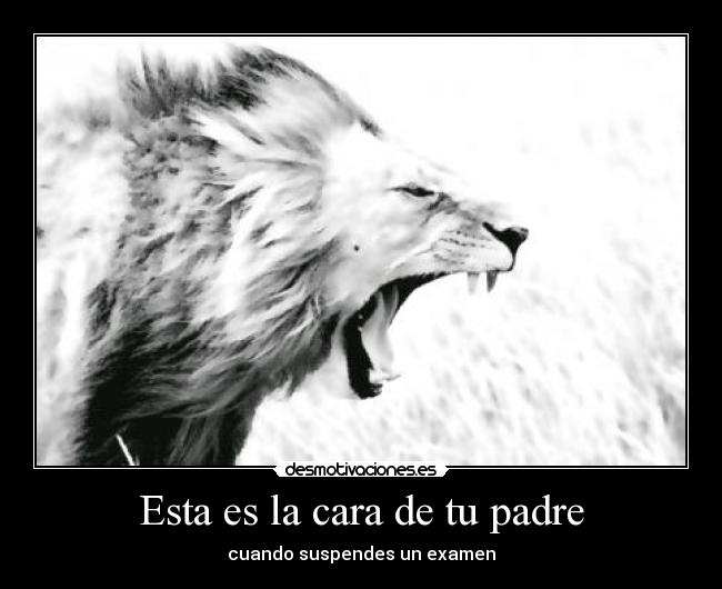 Esta es la cara de tu padre - cuando suspendes un examen