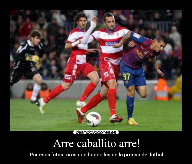 Arre caballito arre! - Por esas fotos raras que hacen los de la prensa del futbol