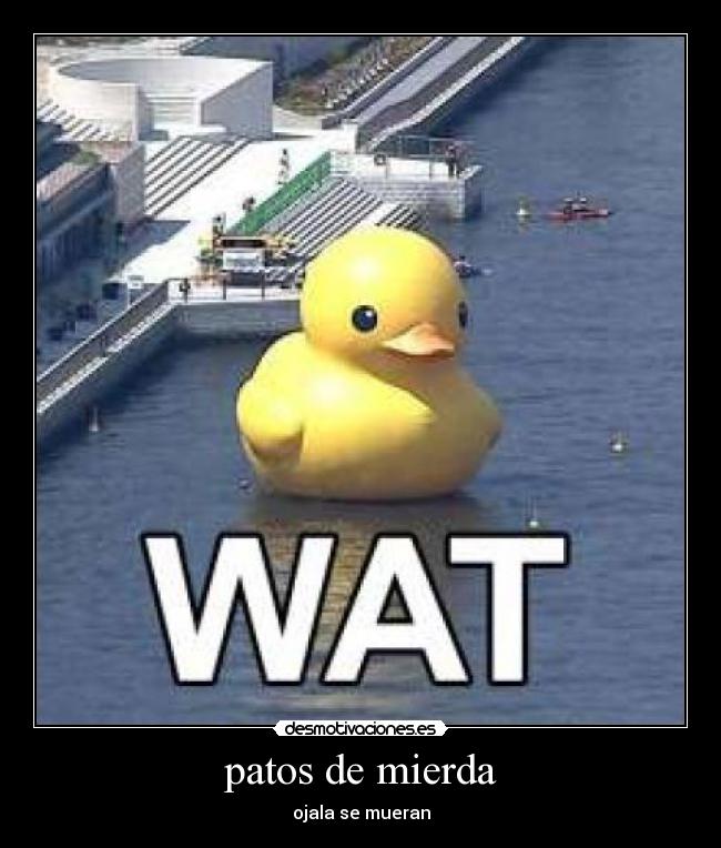 patos de mierda - ojala se mueran