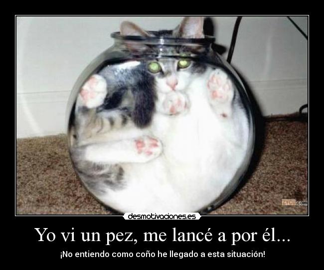 Yo vi un pez, me lancé a por él... - ¡No entiendo como coño he llegado a esta situación!