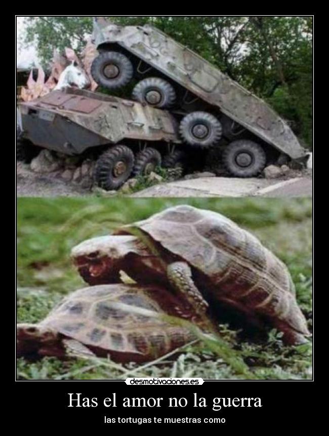 Has el amor no la guerra -