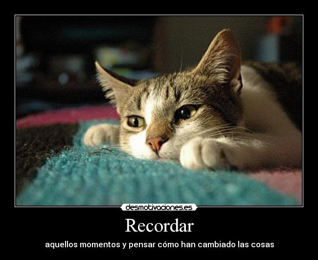Recordar -