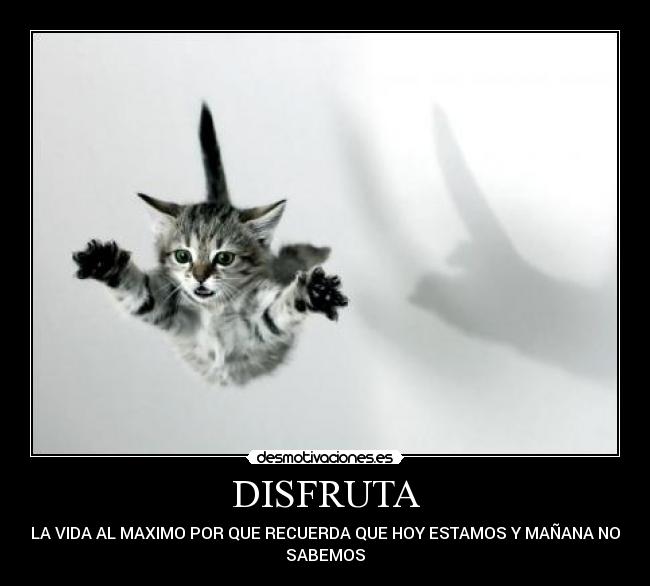 DISFRUTA -