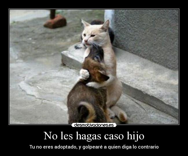 carteles golpear gatosperro desmotivaciones