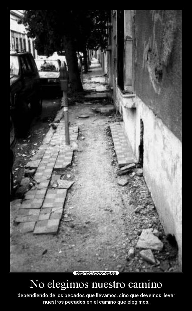 No elegimos nuestro camino -