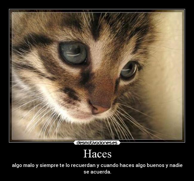 Haces - algo malo y siempre te lo recuerdan y cuando haces algo buenos y nadie se acuerda.