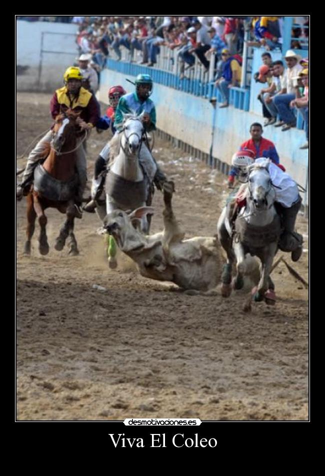 Viva El Coleo - 