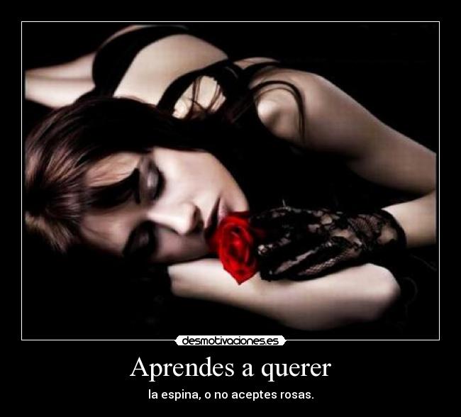 Aprendes a querer - la espina, o no aceptes rosas.