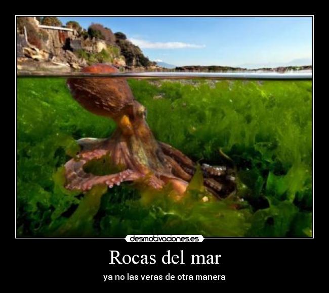 Rocas del mar -