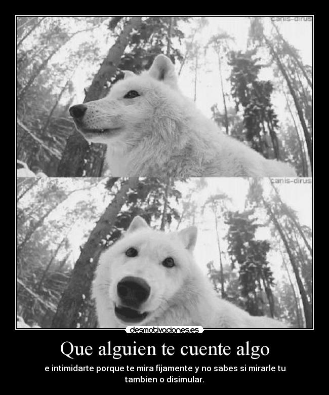 Que alguien te cuente algo - e intimidarte porque te mira fijamente y no sabes si mirarle tu tambien o disimular.