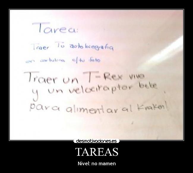 TAREAS - Nivel: no mamen