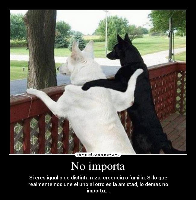 No importa - Si eres igual o de distinta raza, creencia o familia. Si lo que
realmente nos une el uno al otro es la amistad, lo demas no
importa....
