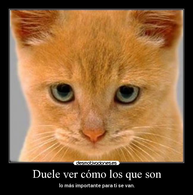 carteles enfiin desmotivaciones