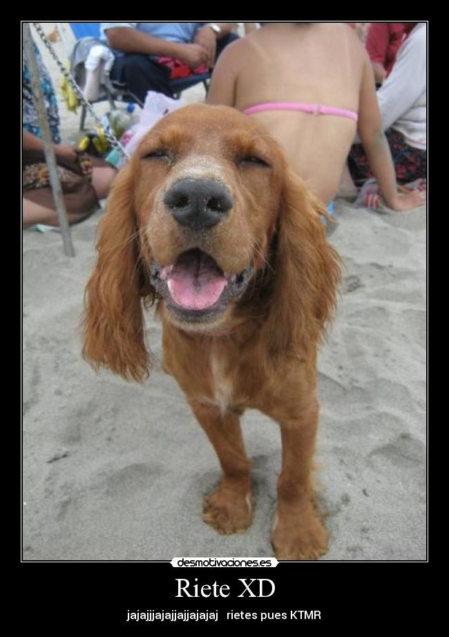 Riete XD - jajajjjajajjajjajajaj rietes pues KTMR