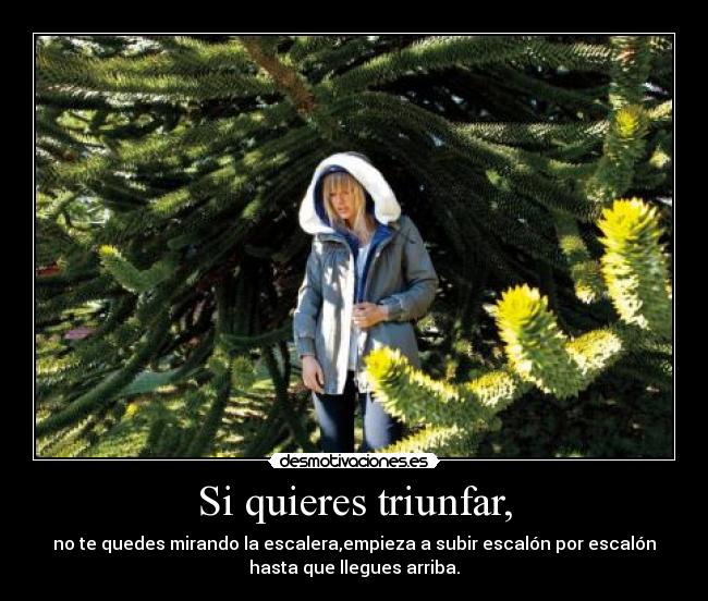 Si quieres triunfar, -