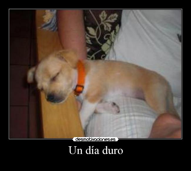 Un día duro -