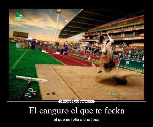 El canguro el que te focka - el que se follo a una foca