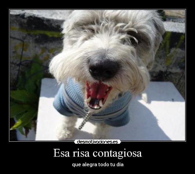Esa risa contagiosa -