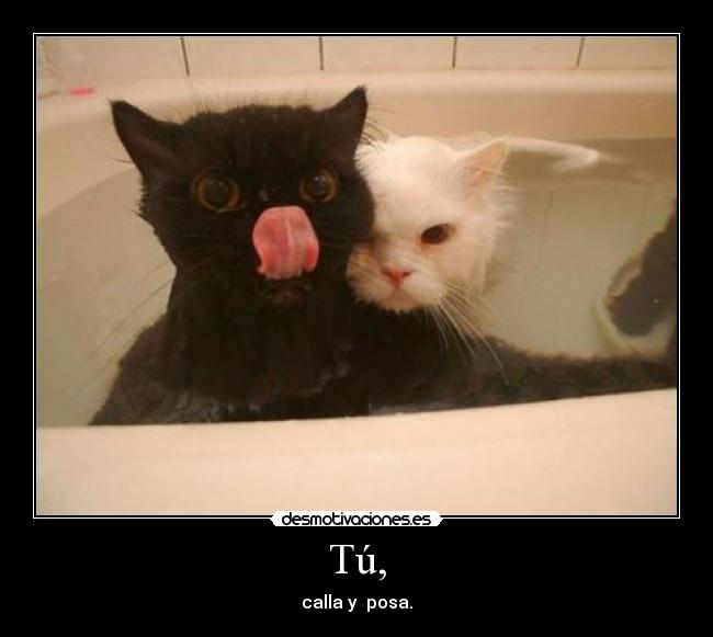 Tú, - calla y posa.