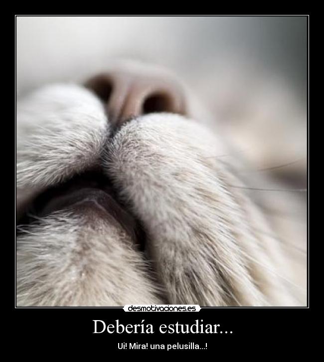Debería estudiar... - 
