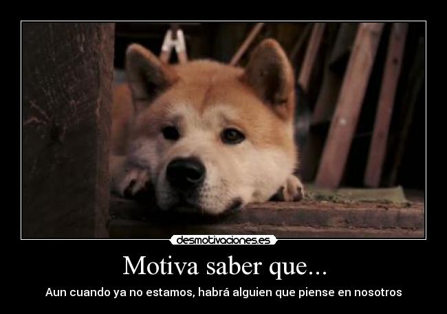 Motiva saber que... -