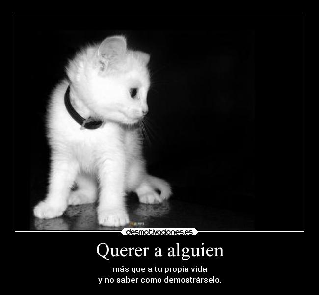 Querer a alguien -
