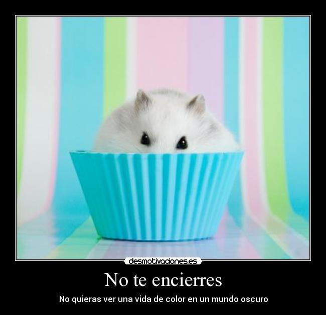 No te encierres - No quieras ver una vida de color en un mundo oscuro