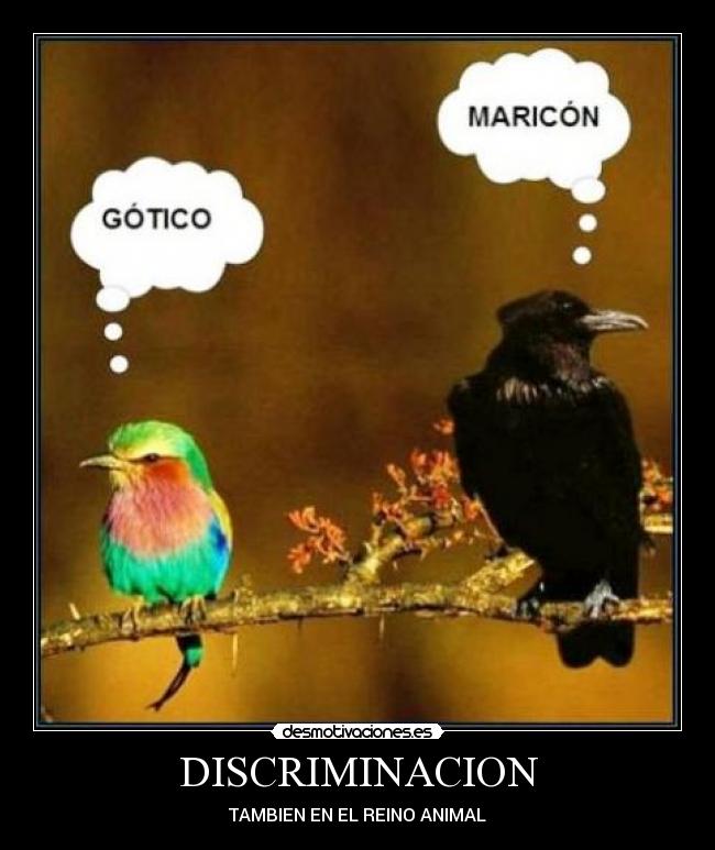 DISCRIMINACION -