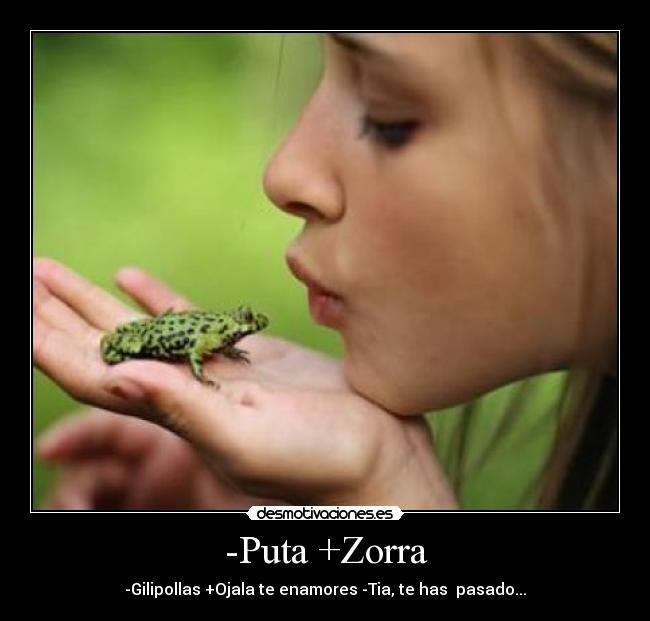 -Puta +Zorra - 