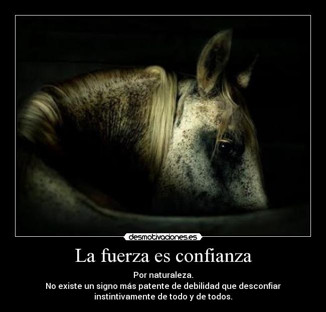La fuerza es confianza - 