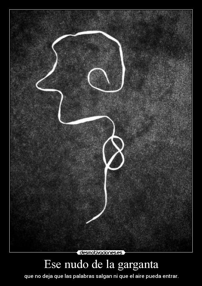 carteles nudogarganta desmotivaciones