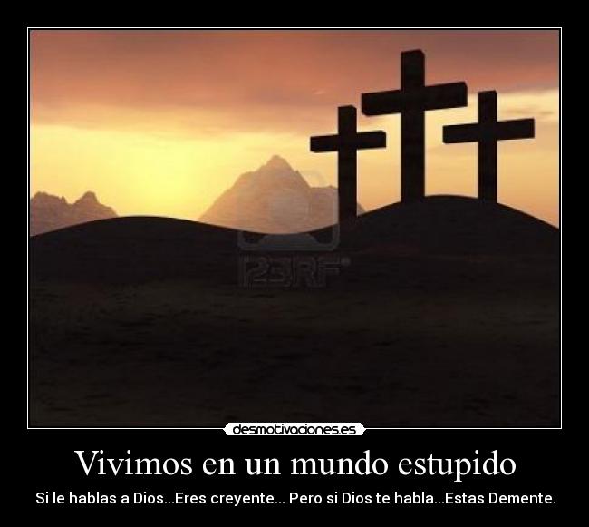 Vivimos en un mundo estupido -