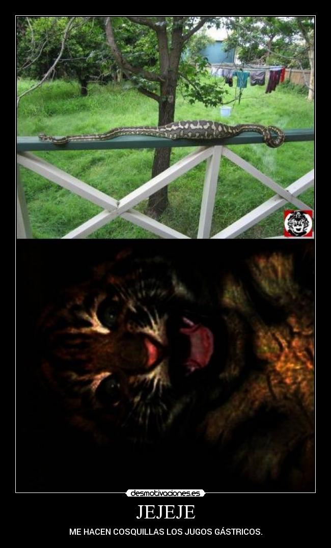 carteles tigretoneh clantigretoneh desollao desmotivaciones