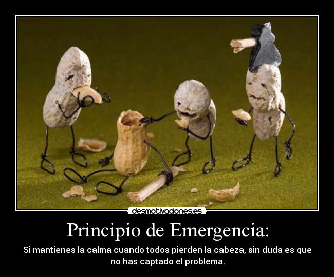 Principio de Emergencia: - Si mantienes la calma cuando todos pierden la cabeza, sin duda es que
no has captado el problema.