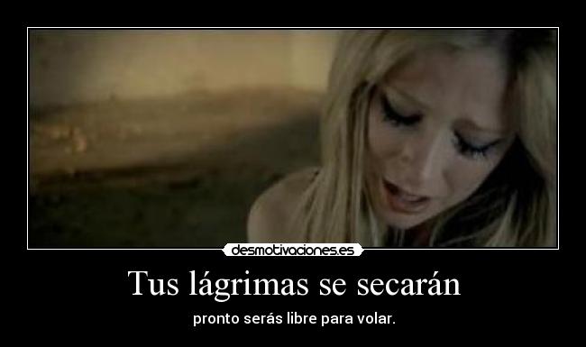 Tus lágrimas se secarán - pronto serás libre para volar.