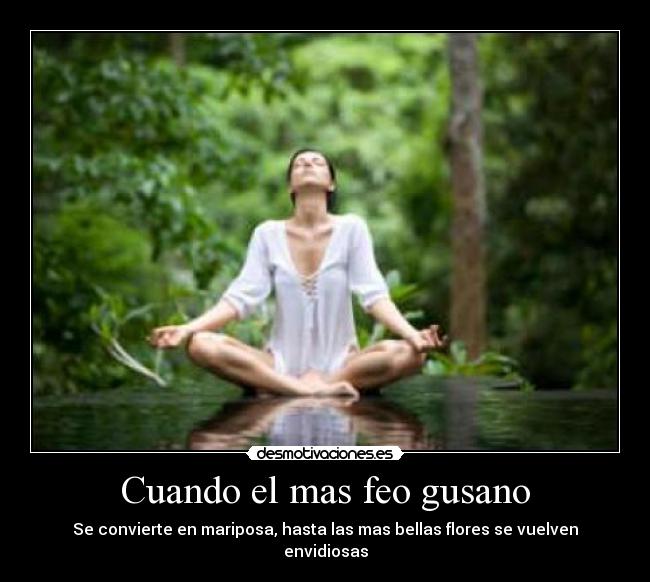 Cuando el mas feo gusano - Se convierte en mariposa, hasta las mas bellas flores se vuelven envidiosas