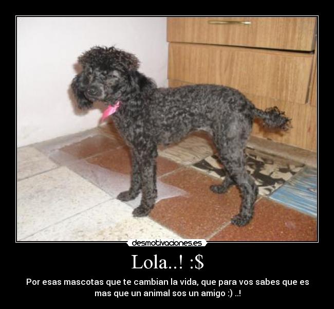 Lola..! :$ -