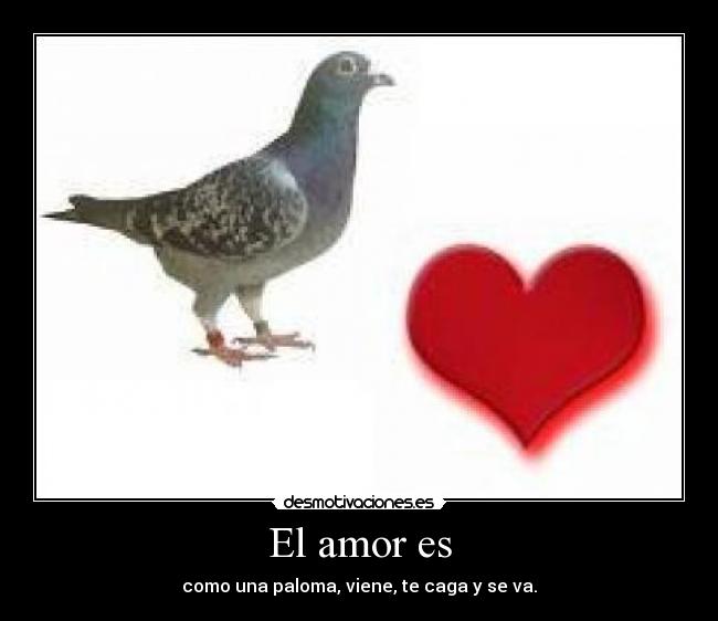 El amor es -