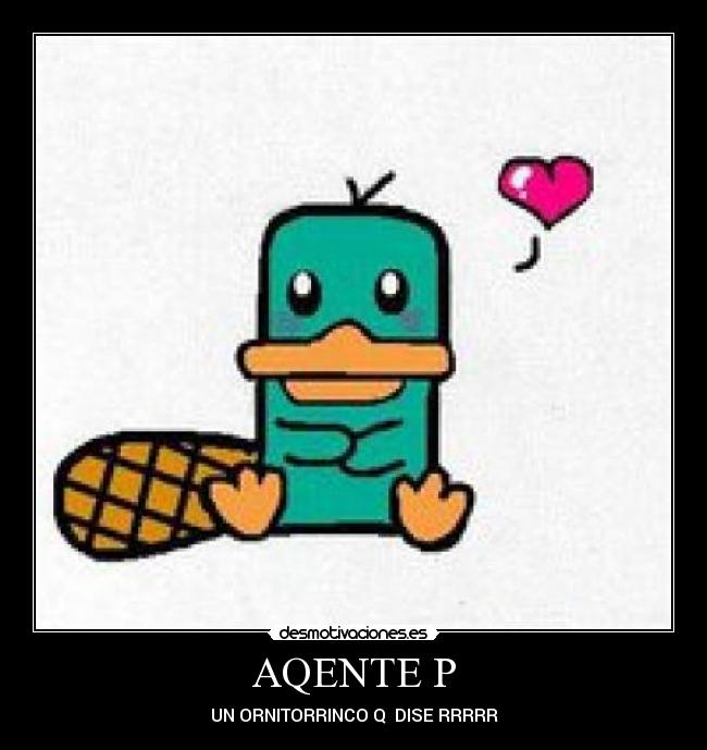 AQENTE P - 