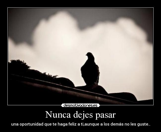 Nunca dejes pasar - una oportunidad que te haga feliz a ti,aunque a los demás no les guste..