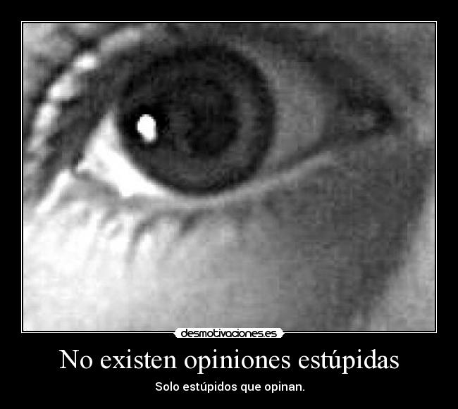 No existen opiniones estúpidas -