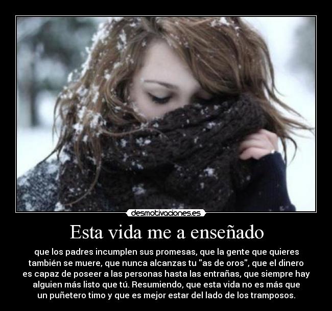 carteles vida esta vida enseno ensenado mierda vida asco vida timo tramposos tristeza dinero desmotivaciones