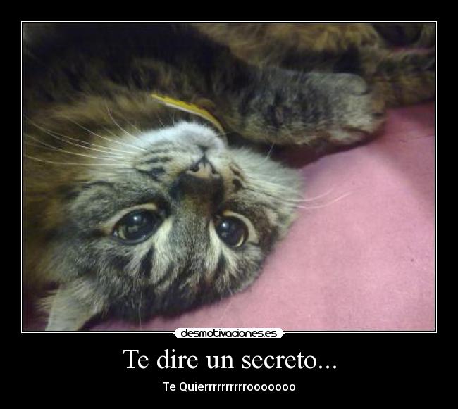 carteles secreto desmotivaciones