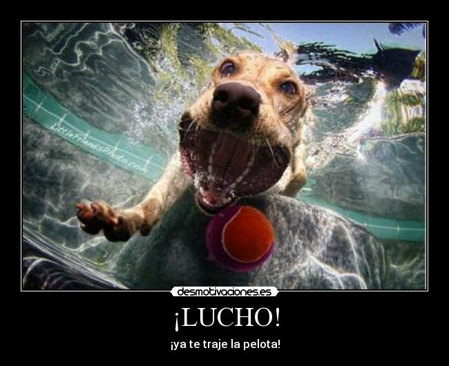 ¡LUCHO! - ¡ya te traje la pelota!